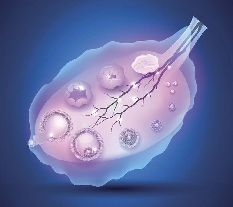 2026年南昌高龄试管婴儿医院排名前五深度解析：附53岁试管、费用及生殖中心选择指南